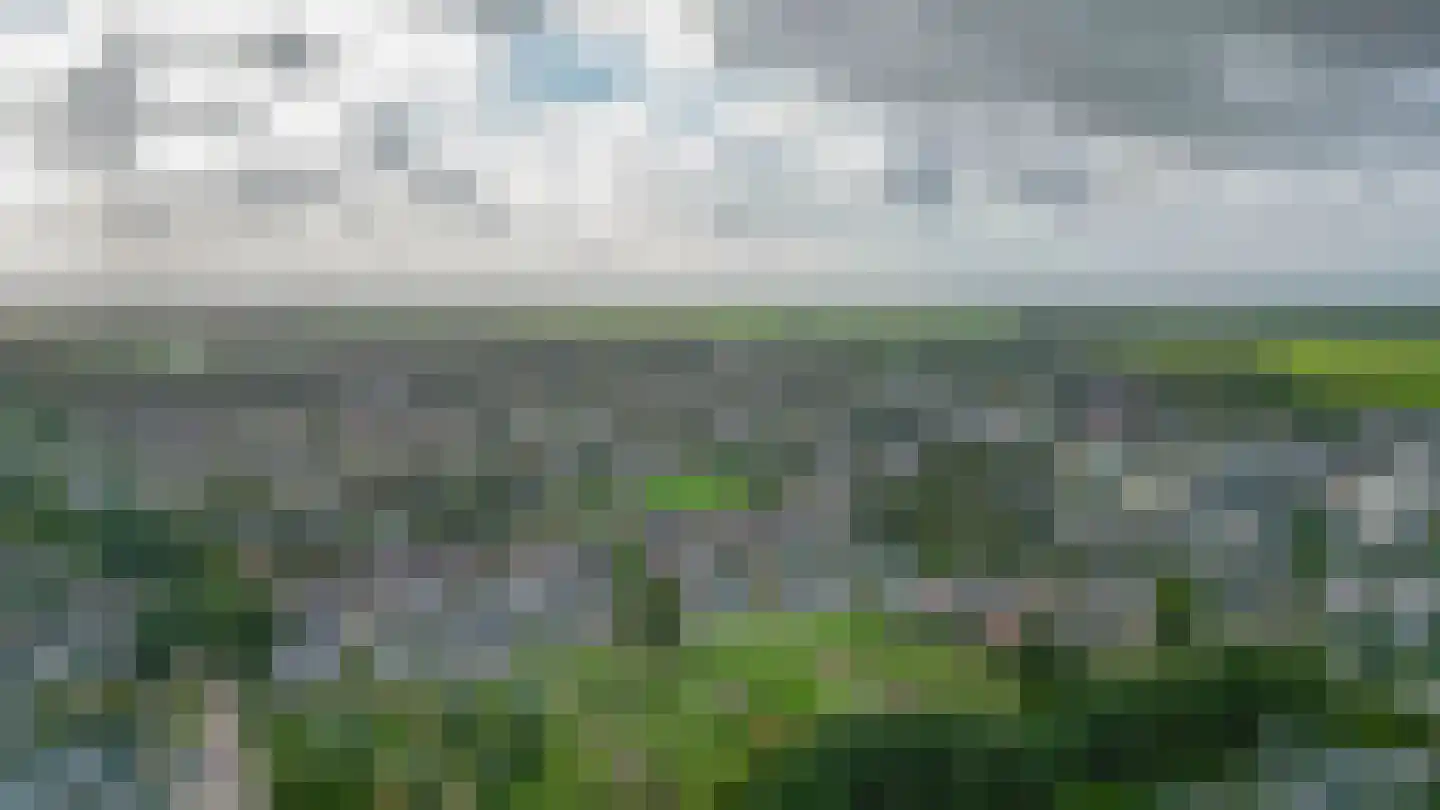 Azaleastraat 59 Musselkanaal thumbnail 39