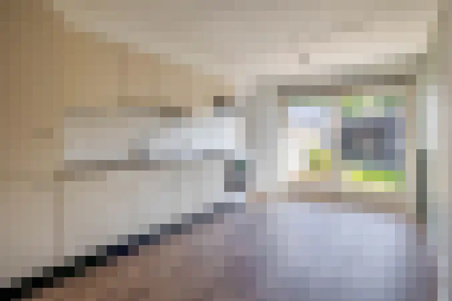 Azaleastraat 59 Musselkanaal thumbnail 4