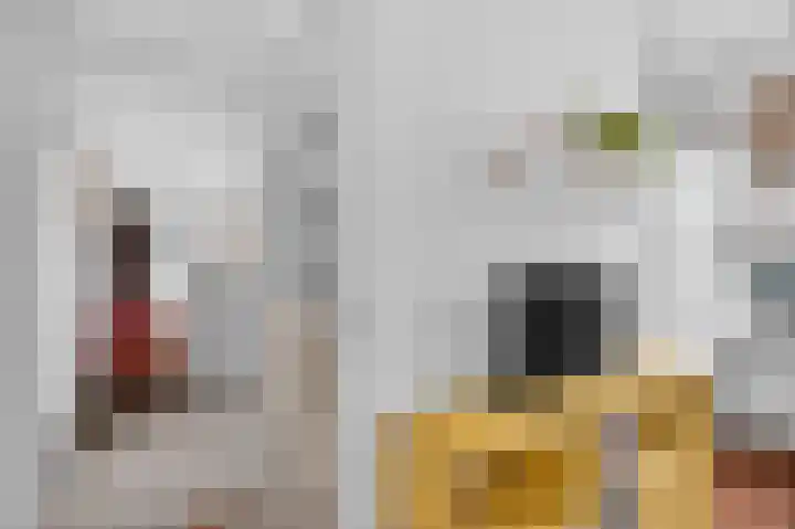 Azaleastraat 6 Amsterdam thumbnail 10