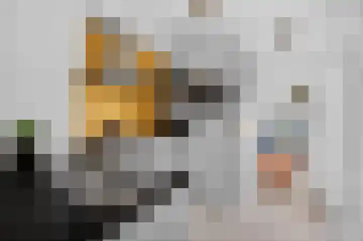 Azaleastraat 6 Amsterdam thumbnail 13