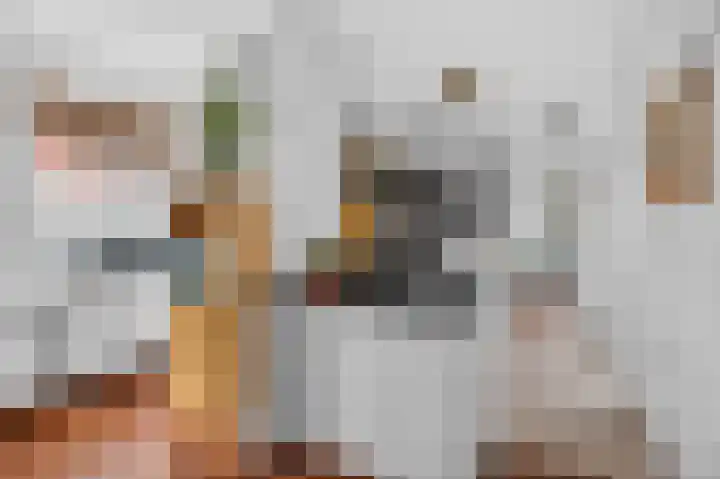 Azaleastraat 6 Amsterdam thumbnail 14