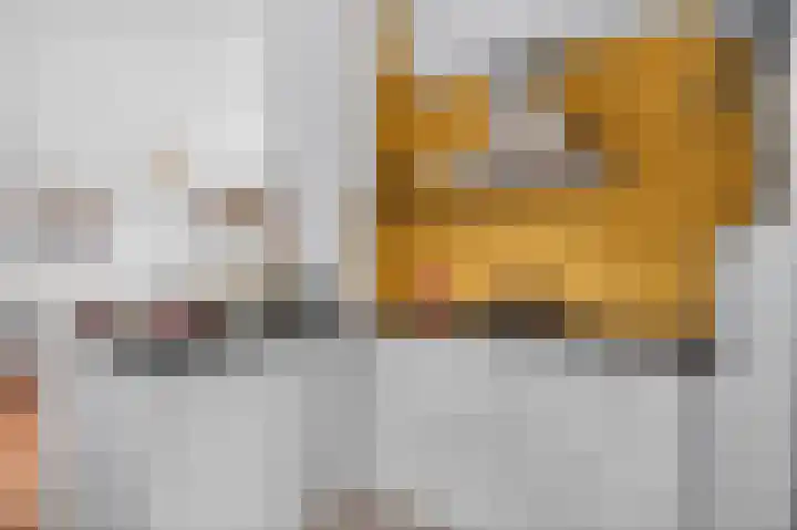 Azaleastraat 6 Amsterdam thumbnail 15