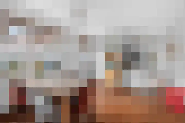 Azaleastraat 6 Amsterdam thumbnail 18