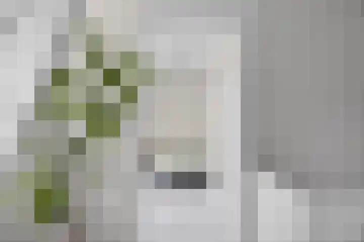 Azaleastraat 6 Amsterdam thumbnail 21