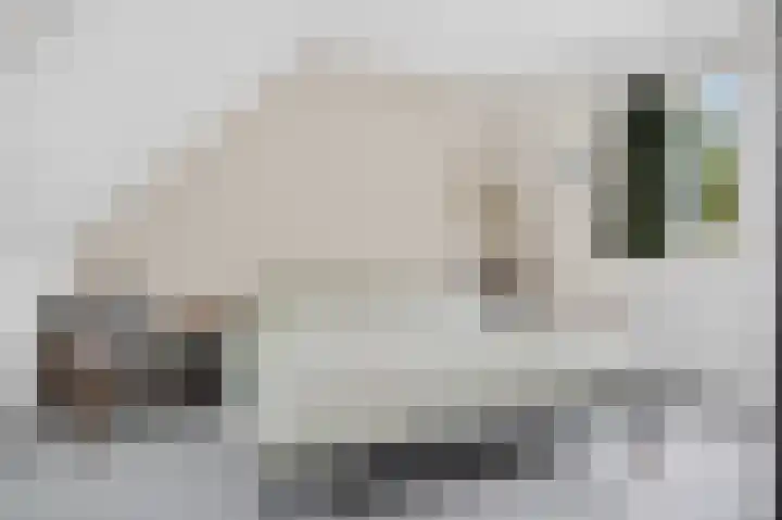 Azaleastraat 6 Amsterdam thumbnail 22