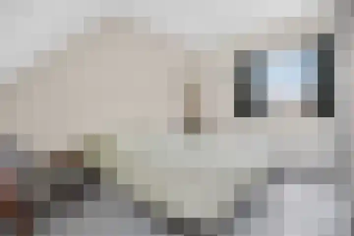Azaleastraat 6 Amsterdam thumbnail 23