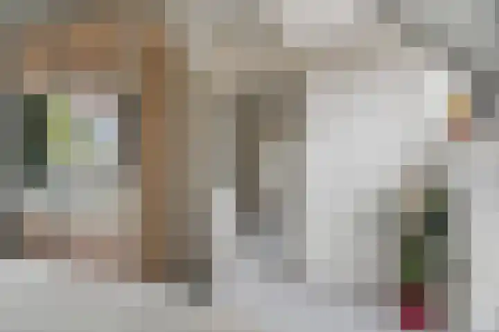 Azaleastraat 6 Amsterdam thumbnail 24