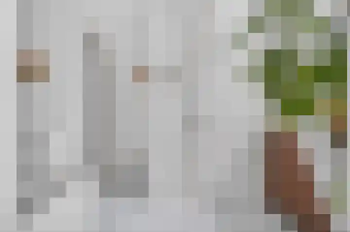 Azaleastraat 6 Amsterdam thumbnail 25