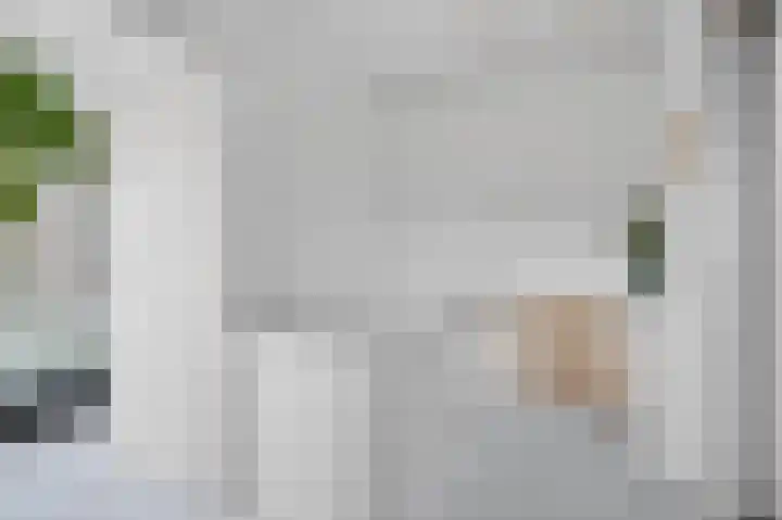 Azaleastraat 6 Amsterdam thumbnail 26