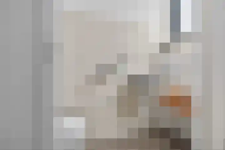Azaleastraat 6 Amsterdam thumbnail 27