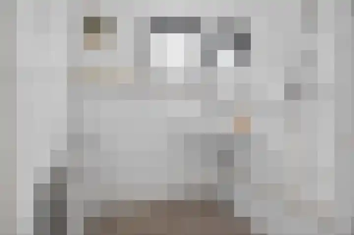 Azaleastraat 6 Amsterdam thumbnail 29