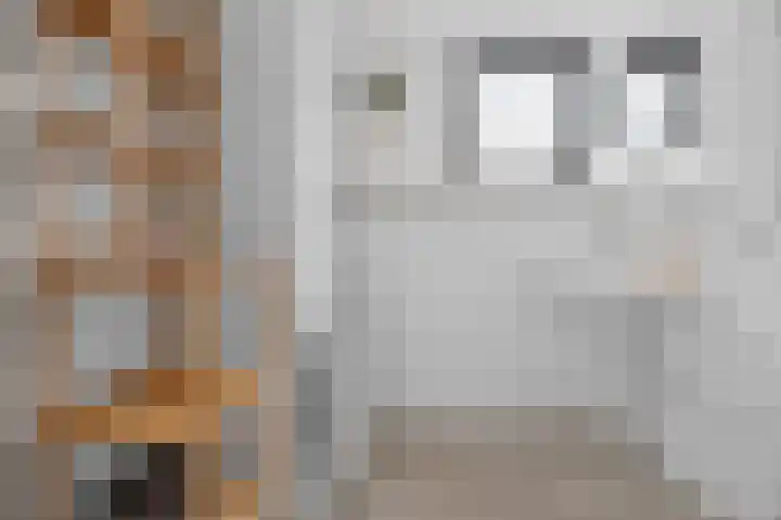 Azaleastraat 6 Amsterdam thumbnail 30