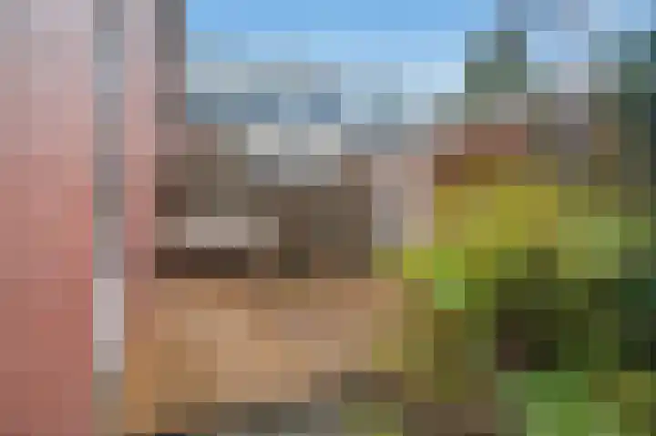 Azaleastraat 6 Amsterdam thumbnail 36