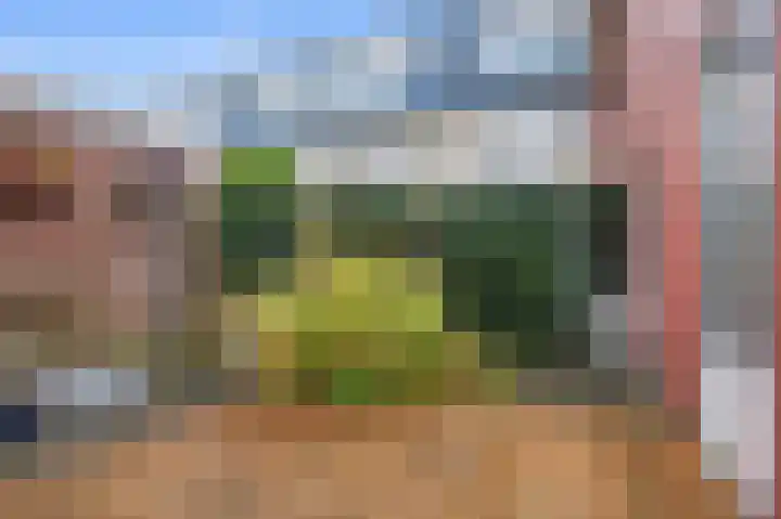 Azaleastraat 6 Amsterdam thumbnail 37