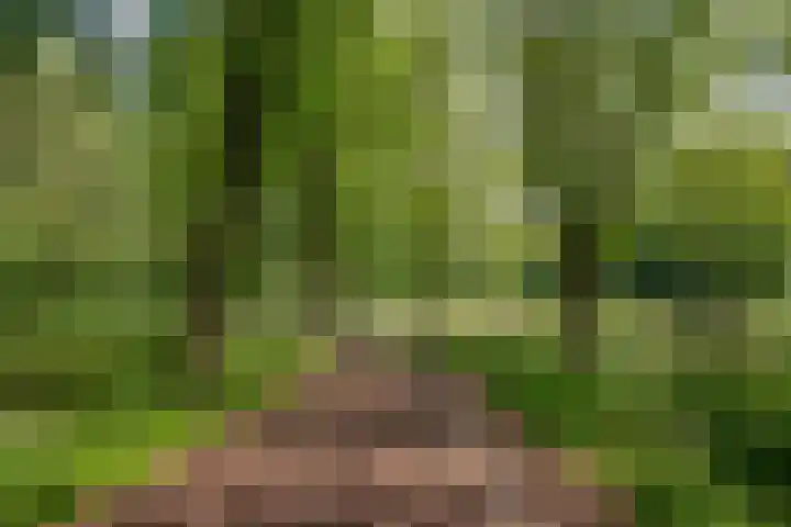 Azaleastraat 6 Amsterdam thumbnail 42