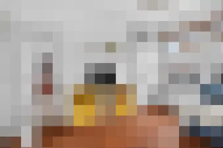 Azaleastraat 6 Amsterdam thumbnail 9