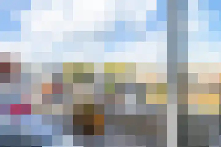 Azaleastraat 6 B Utrecht thumbnail 18