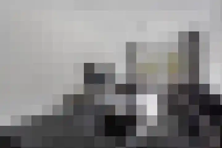 Azaleastraat 65 Den Haag thumbnail 15