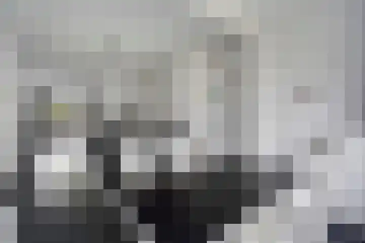 Azaleastraat 65 Den Haag thumbnail 22
