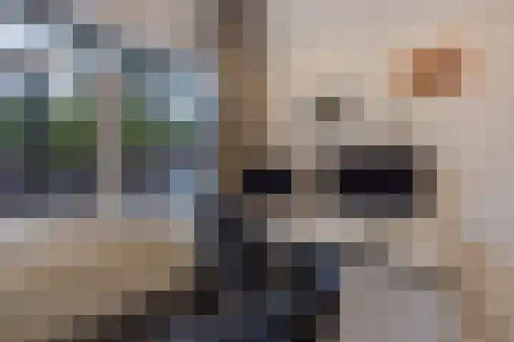 Azaleastraat 65 Den Haag thumbnail 32
