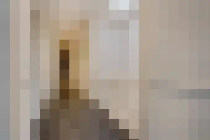 Azaleastraat 65 Den Haag thumbnail 34