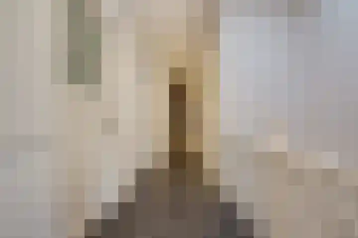 Azaleastraat 65 Den Haag thumbnail 35