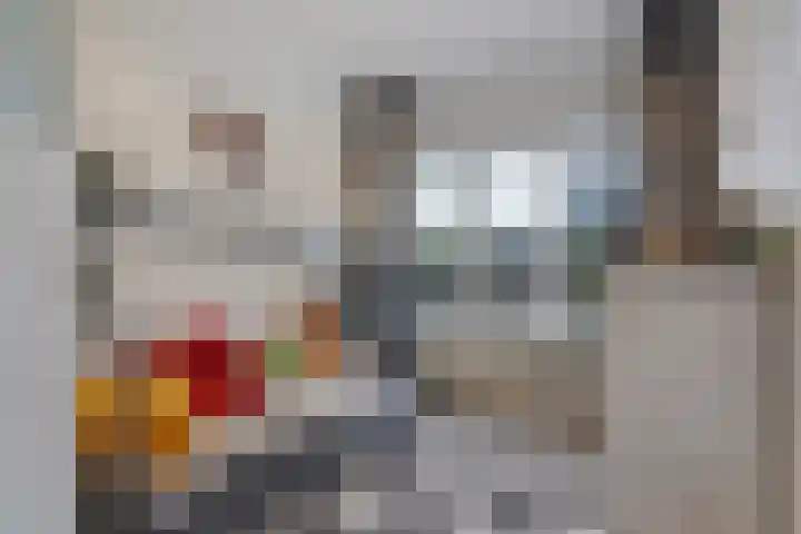 Azaleastraat 65 Den Haag thumbnail 37