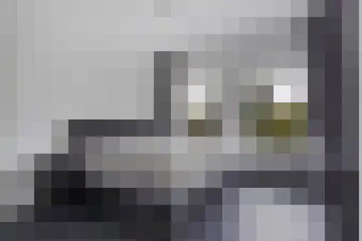Azaleastraat 65 Den Haag thumbnail 40
