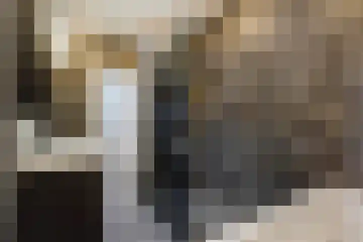 Azaleastraat 65 Den Haag thumbnail 46