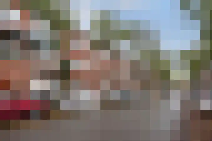 Azaleastraat 65 Den Haag thumbnail 7