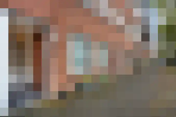 Azaleastraat 65 Den Haag thumbnail 9