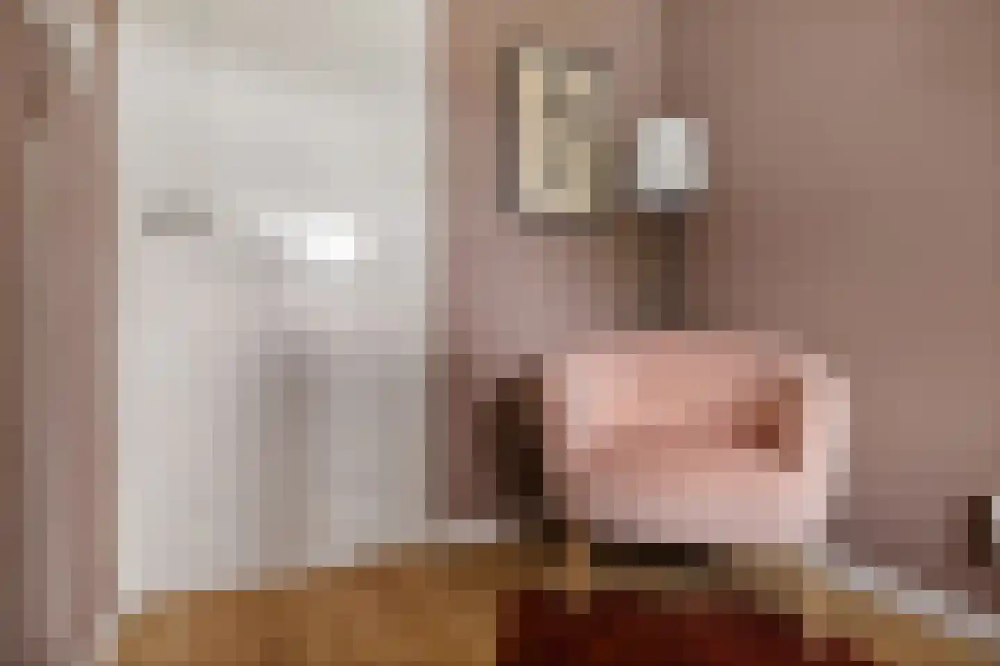 Azaleastraat 65 Musselkanaal thumbnail 24