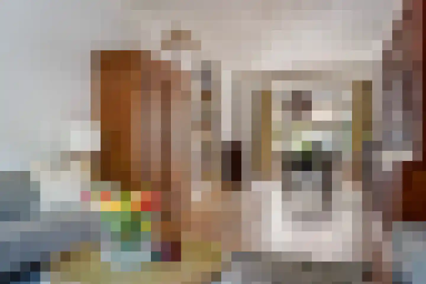 Azaleastraat 69 Den Haag thumbnail 10
