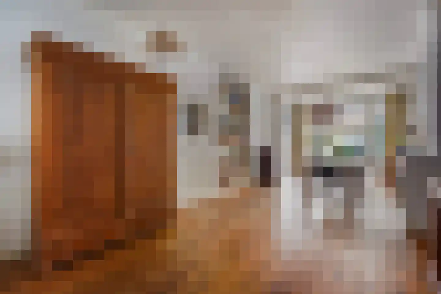 Azaleastraat 69 Den Haag thumbnail 11