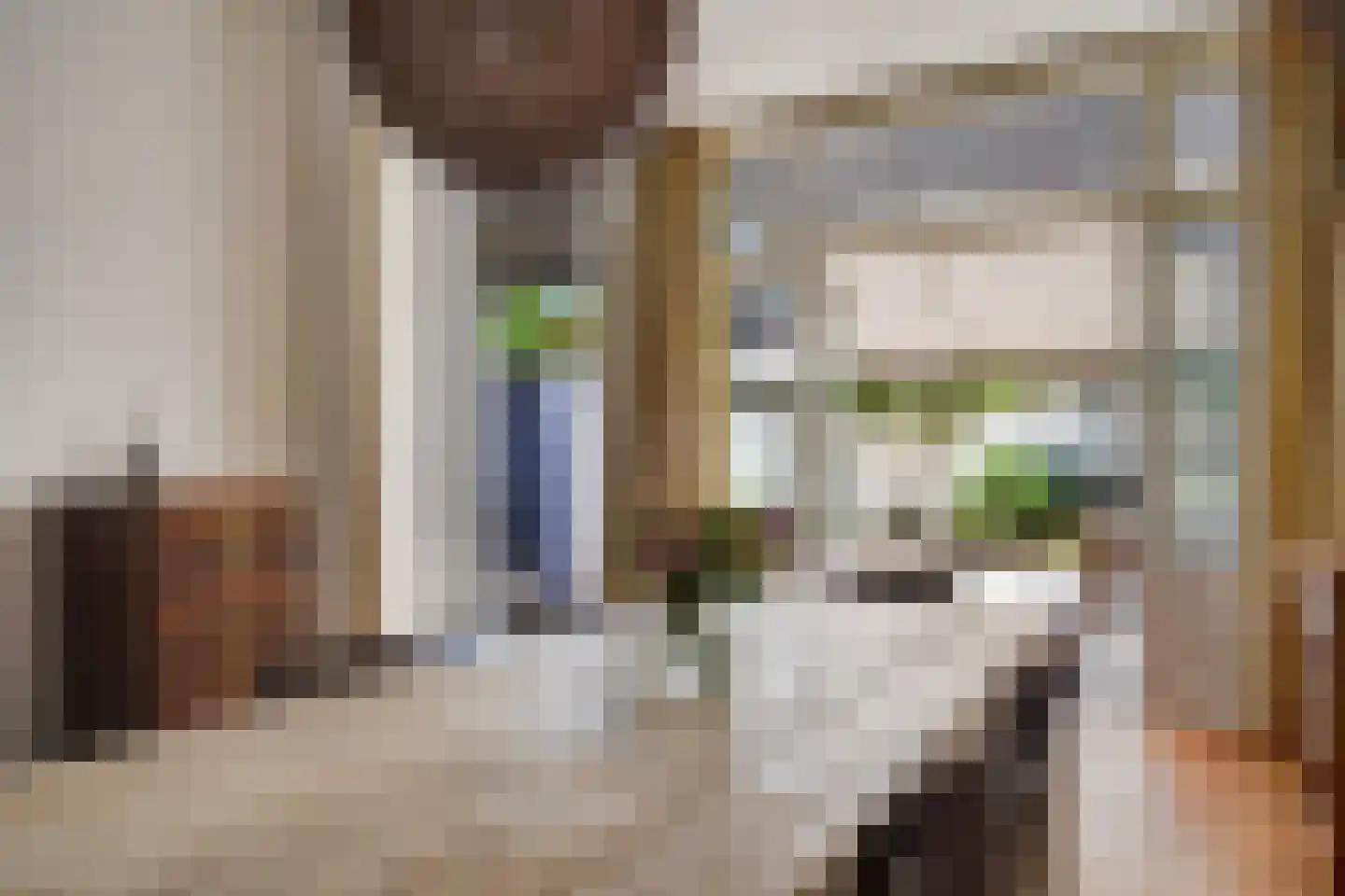 Azaleastraat 69 Den Haag thumbnail 13