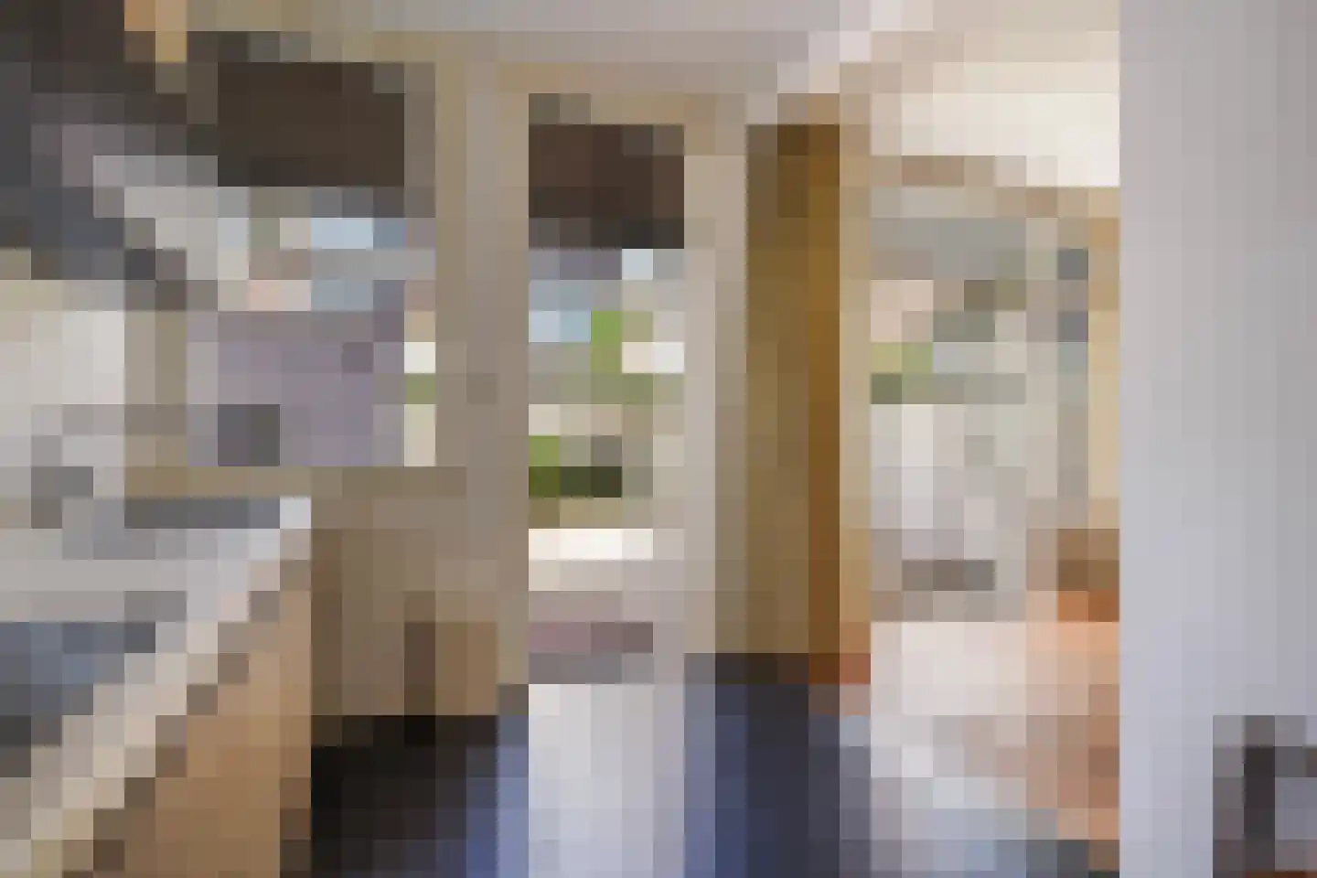 Azaleastraat 69 Den Haag thumbnail 16