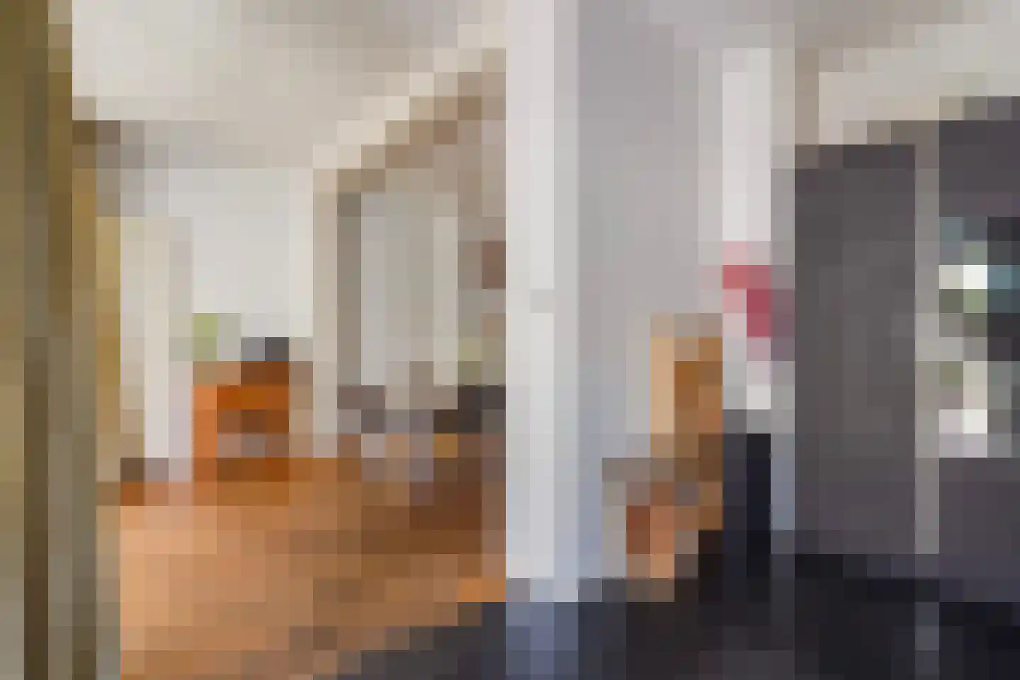 Azaleastraat 69 Den Haag thumbnail 23