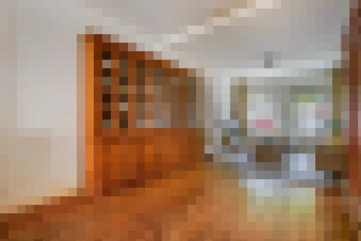 Azaleastraat 69 Den Haag thumbnail 25