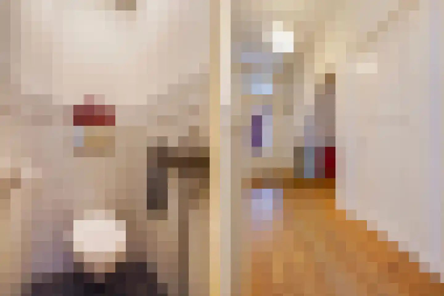 Azaleastraat 69 Den Haag thumbnail 26