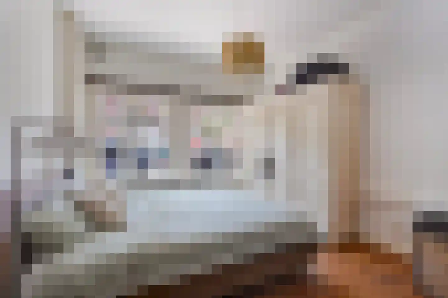 Azaleastraat 69 Den Haag thumbnail 28