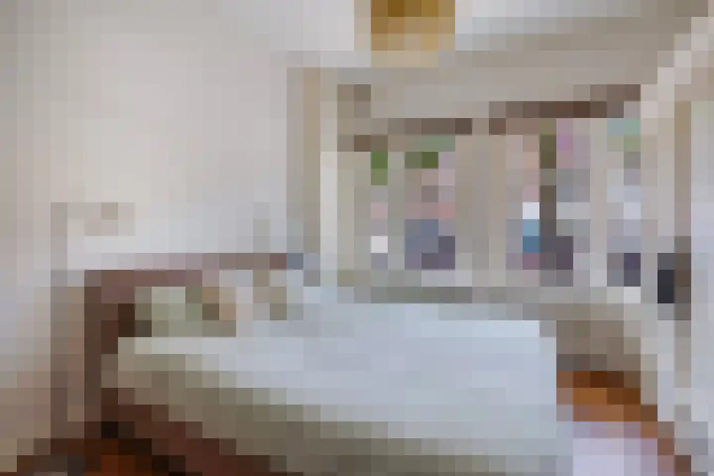 Azaleastraat 69 Den Haag thumbnail 29