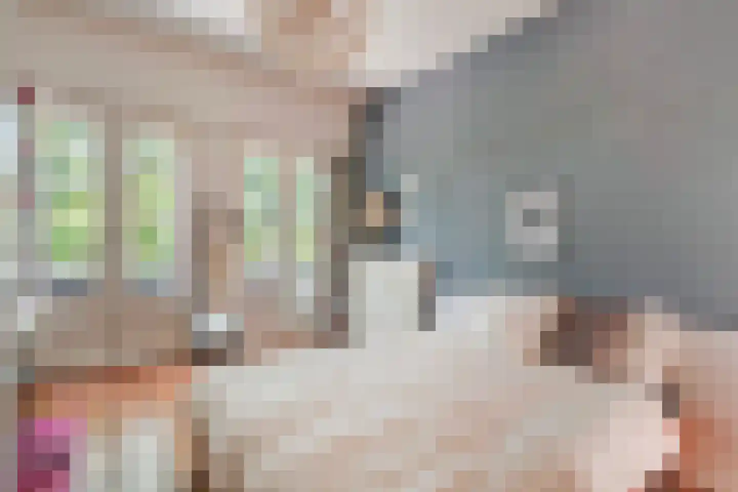 Azaleastraat 69 Den Haag thumbnail 31