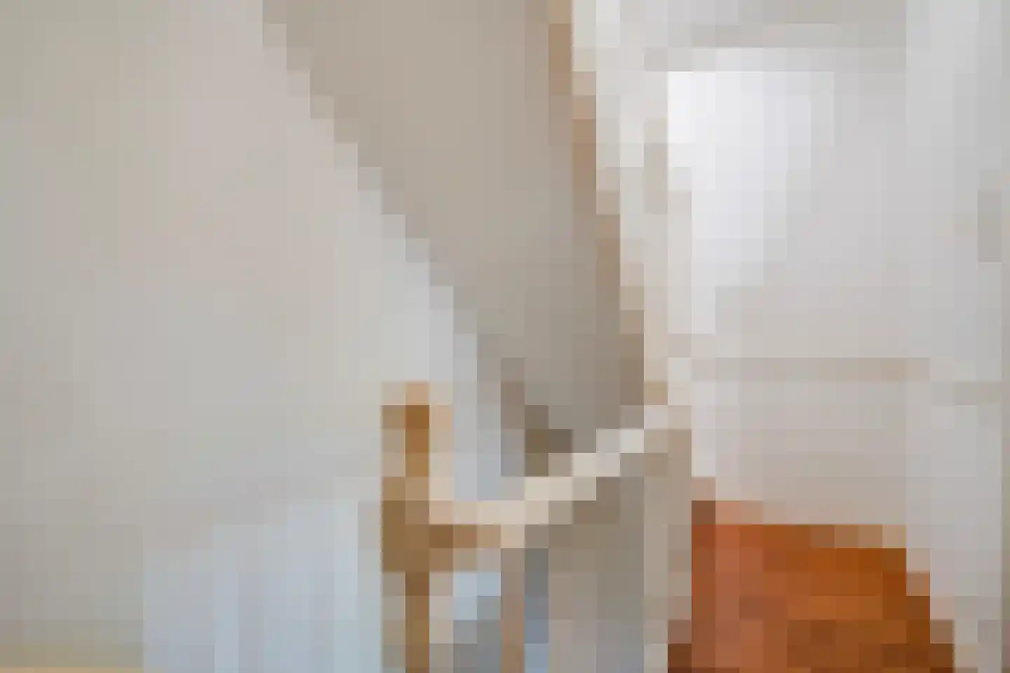 Azaleastraat 69 Den Haag thumbnail 36