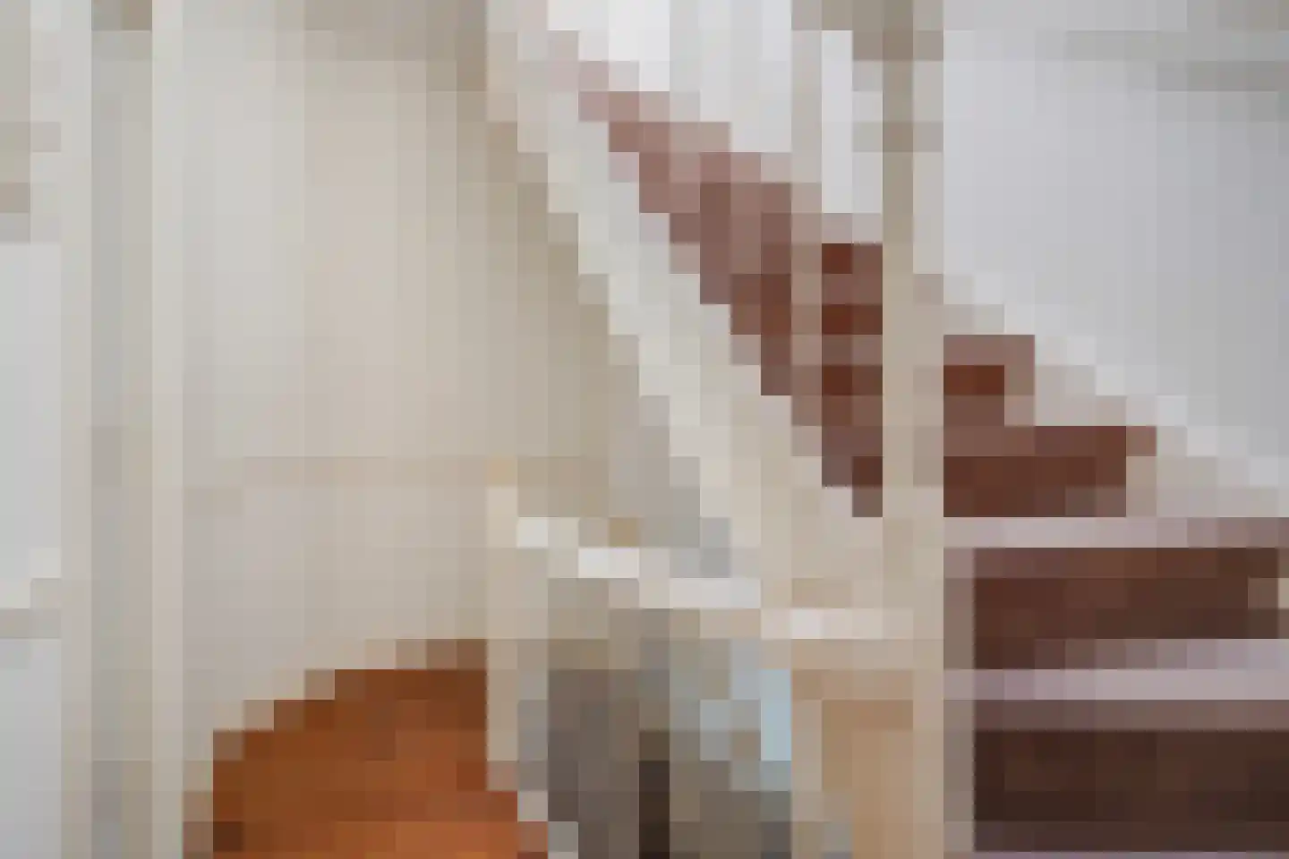 Azaleastraat 69 Den Haag thumbnail 40