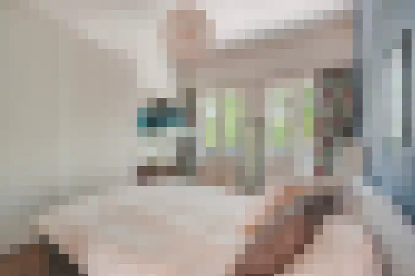 Azaleastraat 69 Den Haag thumbnail 41