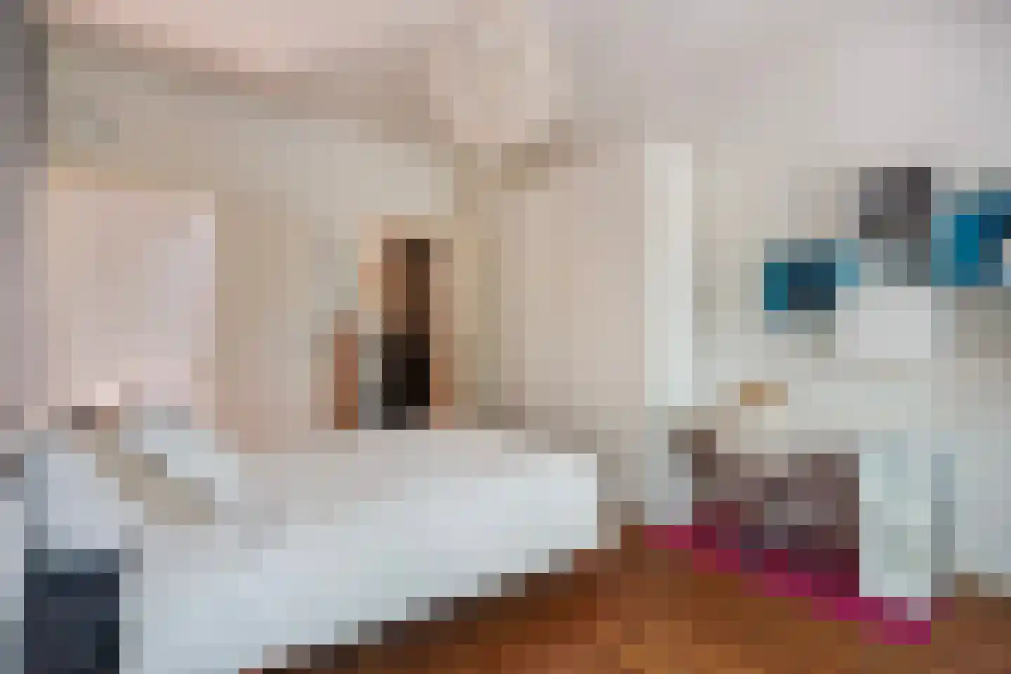 Azaleastraat 69 Den Haag thumbnail 42