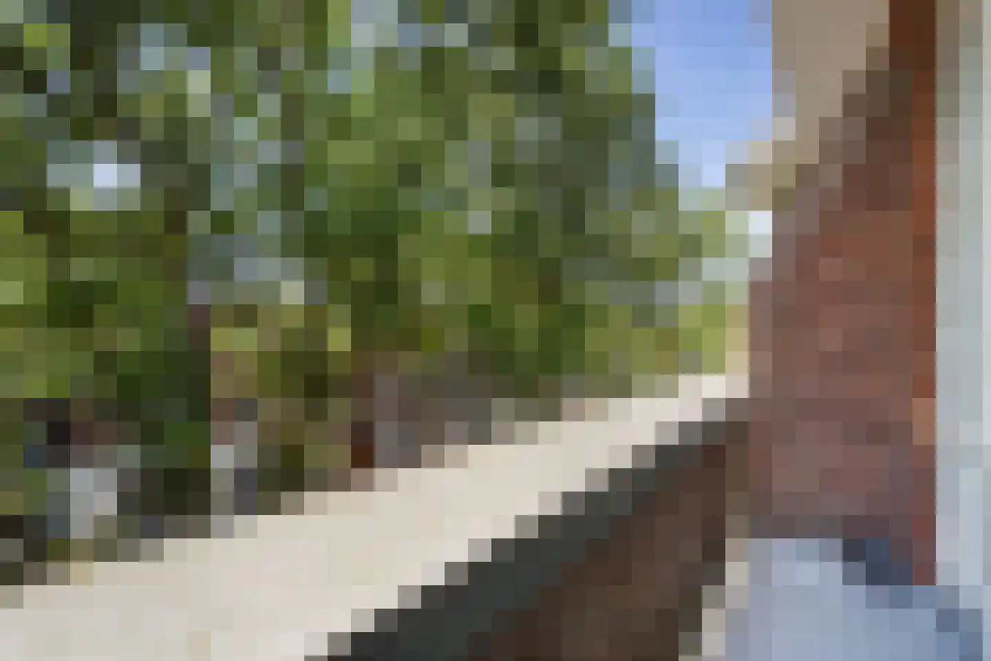 Azaleastraat 69 Den Haag thumbnail 47