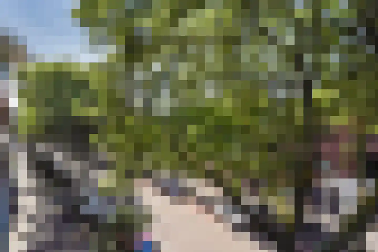 Azaleastraat 69 Den Haag thumbnail 48