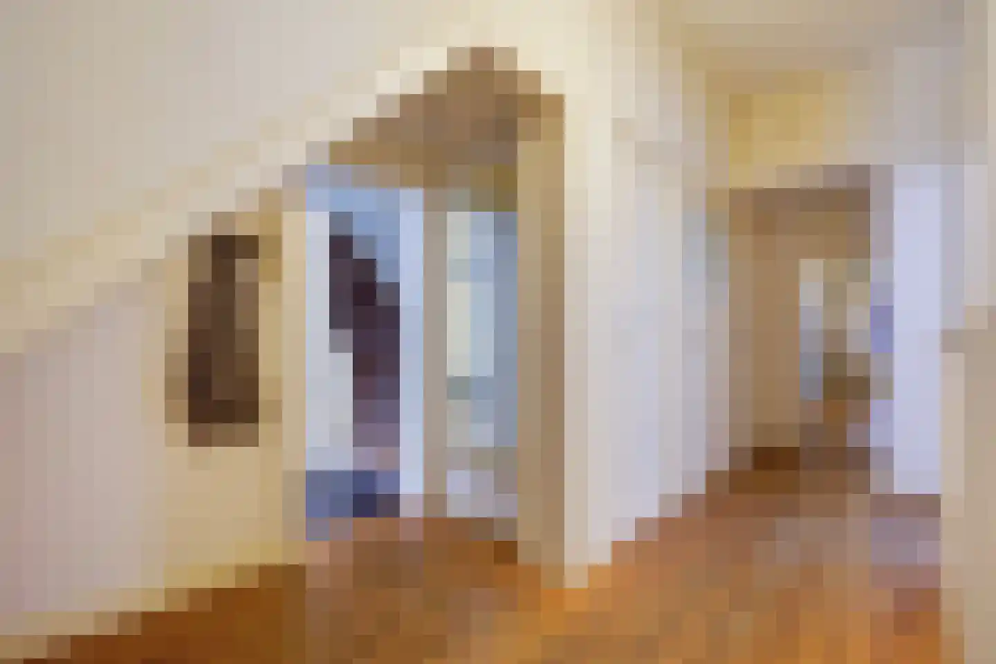 Azaleastraat 69 Den Haag thumbnail 6