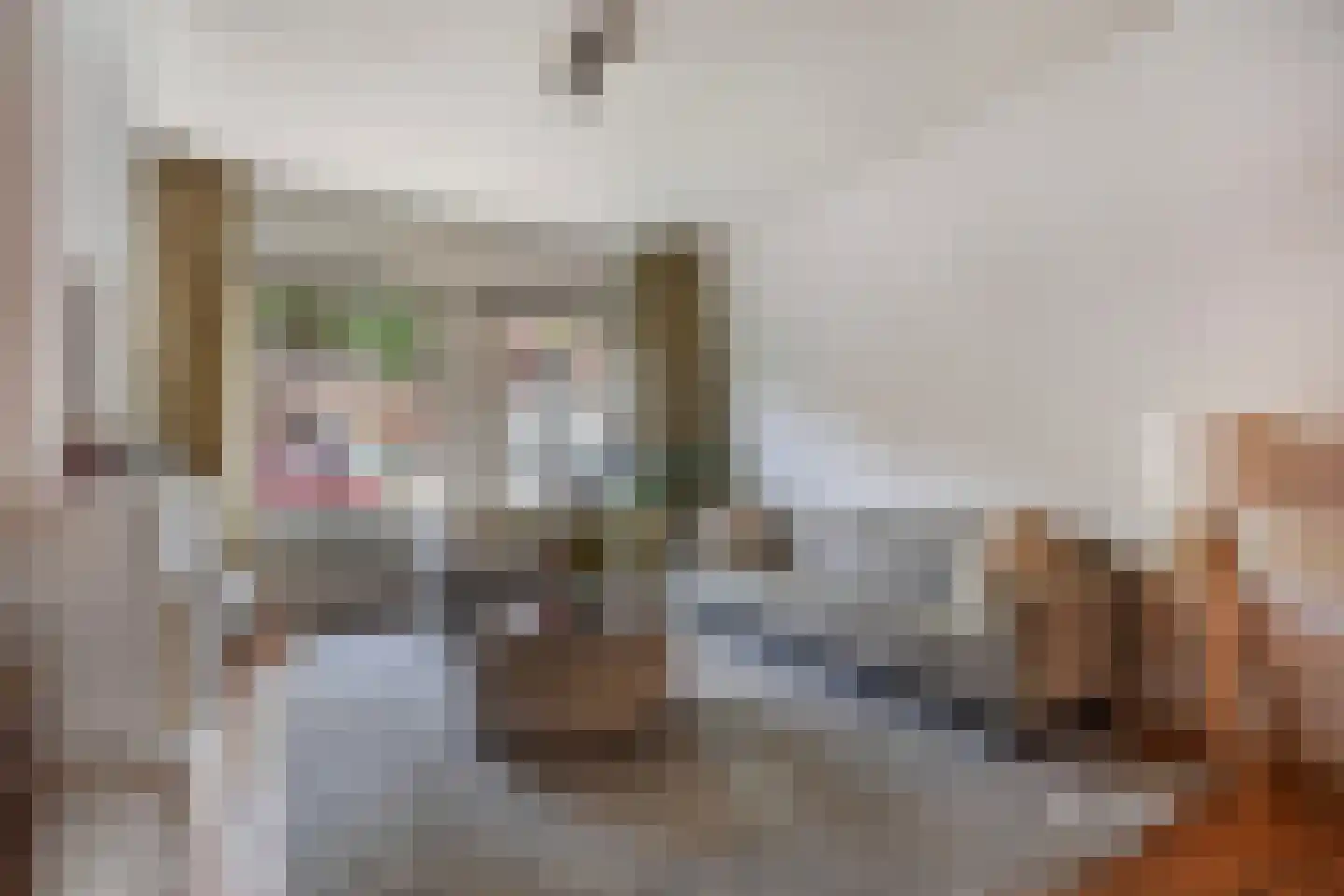 Azaleastraat 69 Den Haag thumbnail 8